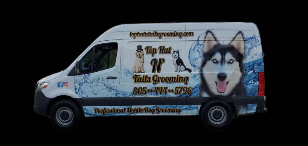 Inside the Top Hat N Tails Grooming mobile van