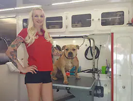 Pet being groomed by Metro Mobile Groomers