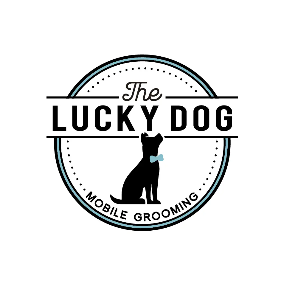 Dog after grooming by The Lucky Dog Mobile Grooming