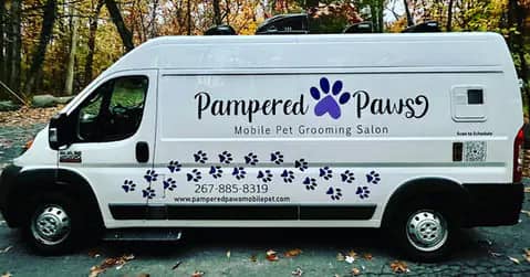 Pampered Paws Mobile Grooming gallery image of groomed pet