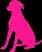 Dog grooming service image from My Doggy's Mobile Pet Spa