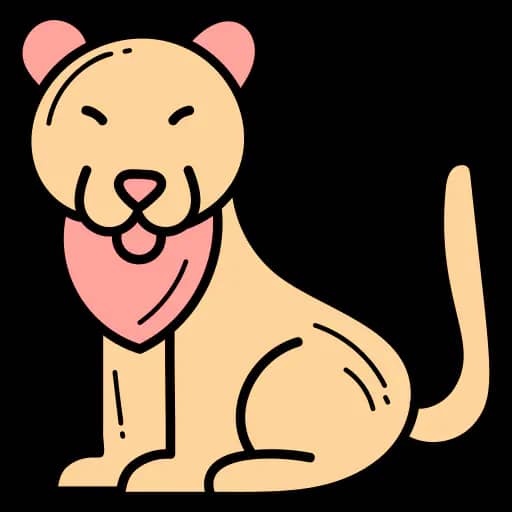 NYC Pet Grooming service image for full grooming