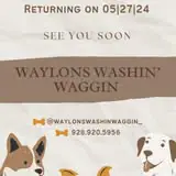 Pet image from Waylon's Washin' Waggin' official gallery