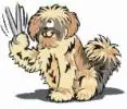 Jolly Paws Mobile Pet Grooming site artwork