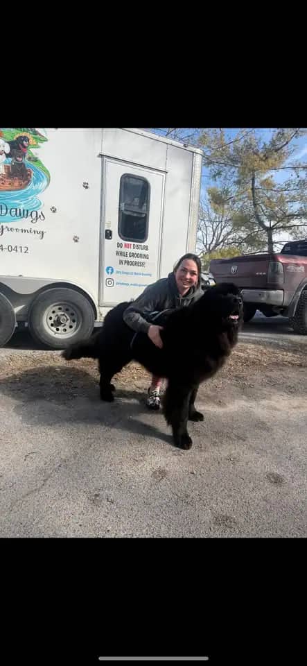 Dirty Dawgs LLC Mobile Grooming image from the business Facebook page