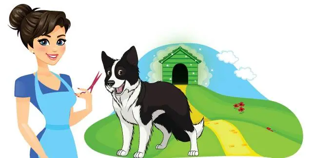Wizard of Paws mobile grooming van