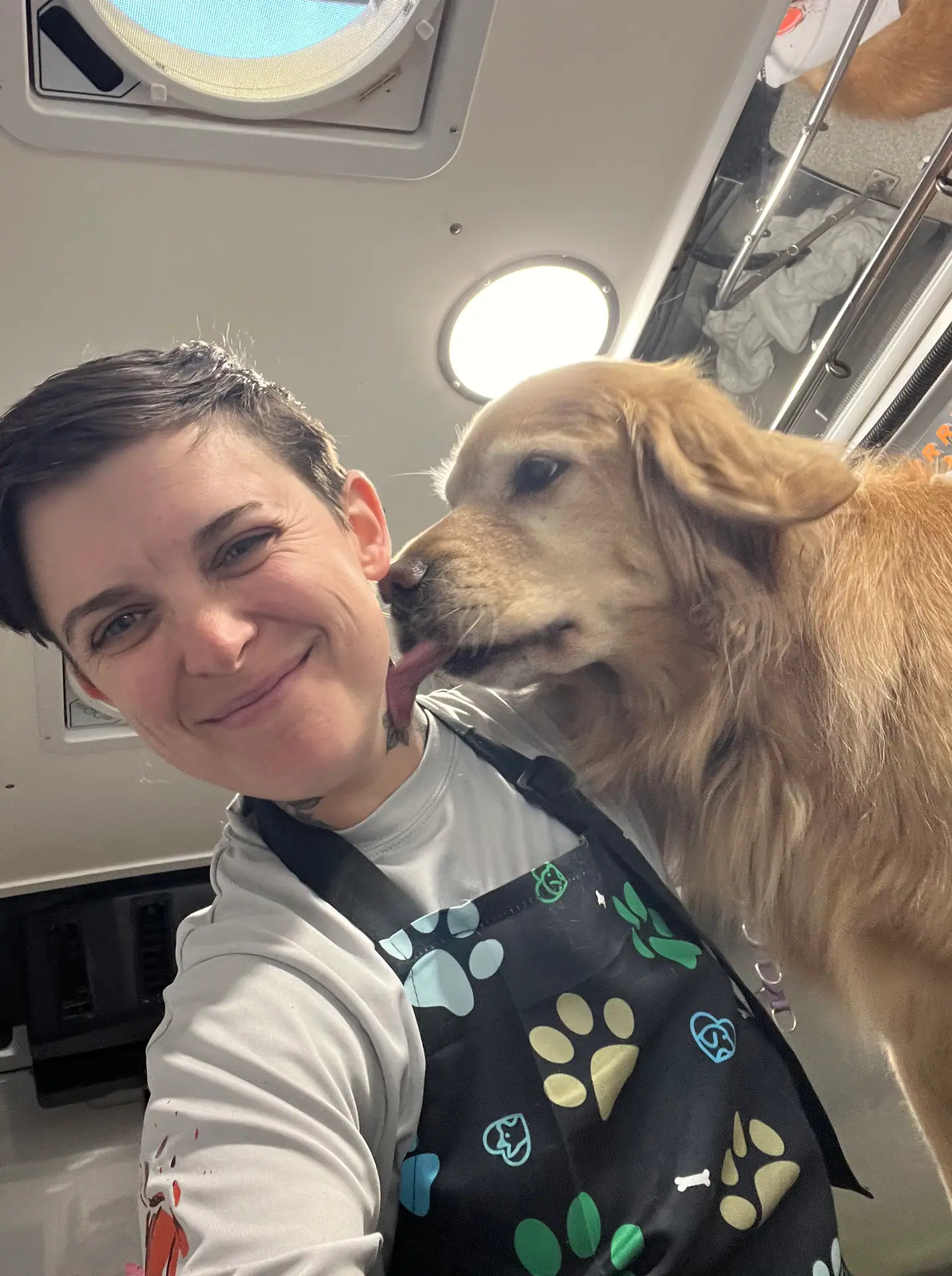 Dog after mobile grooming service