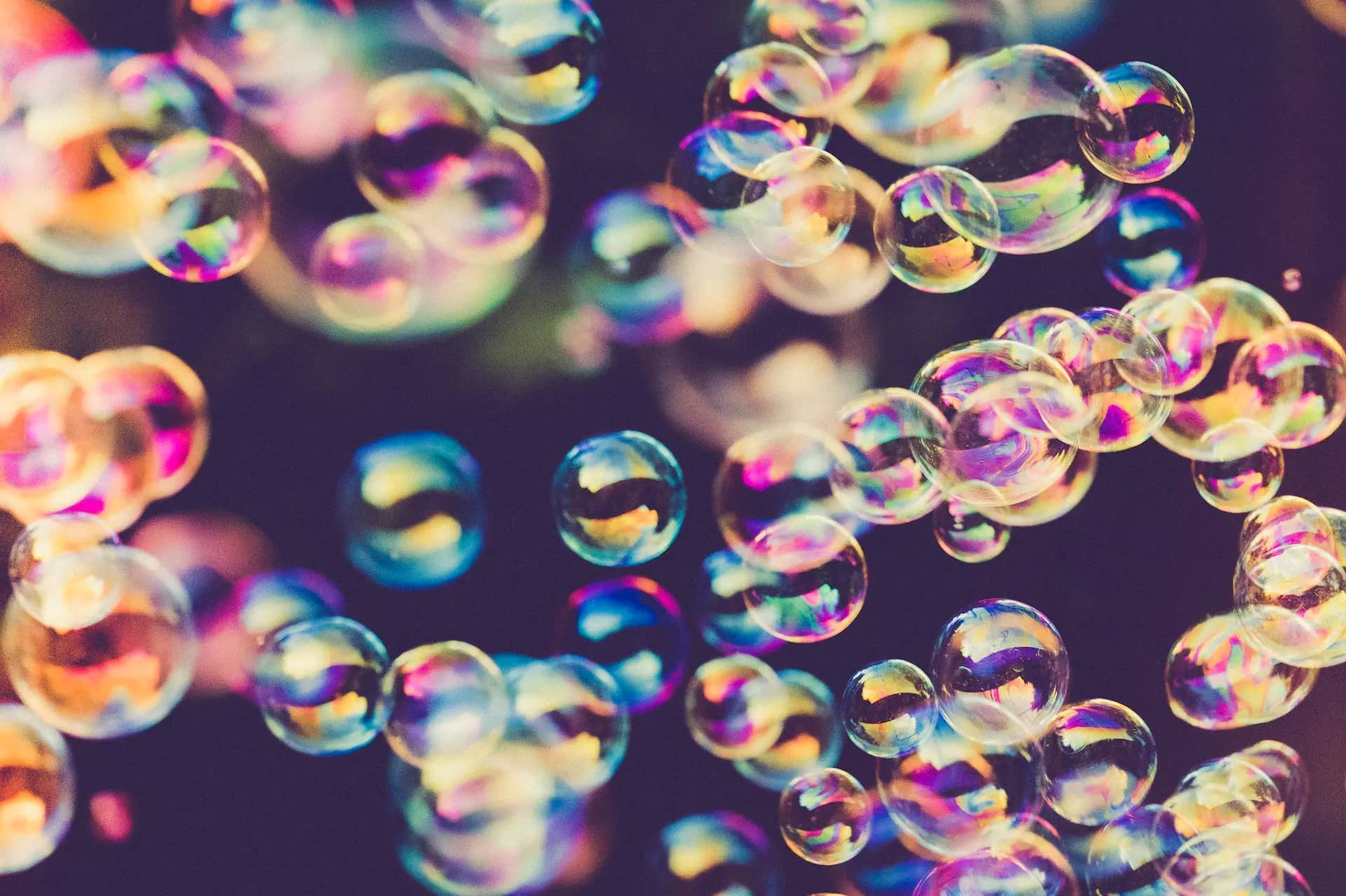 Bubble Pups site image representing grooming services