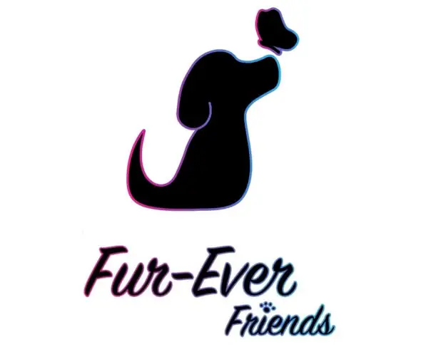 Styled dog from Fur-Ever Friends Mobile Grooming