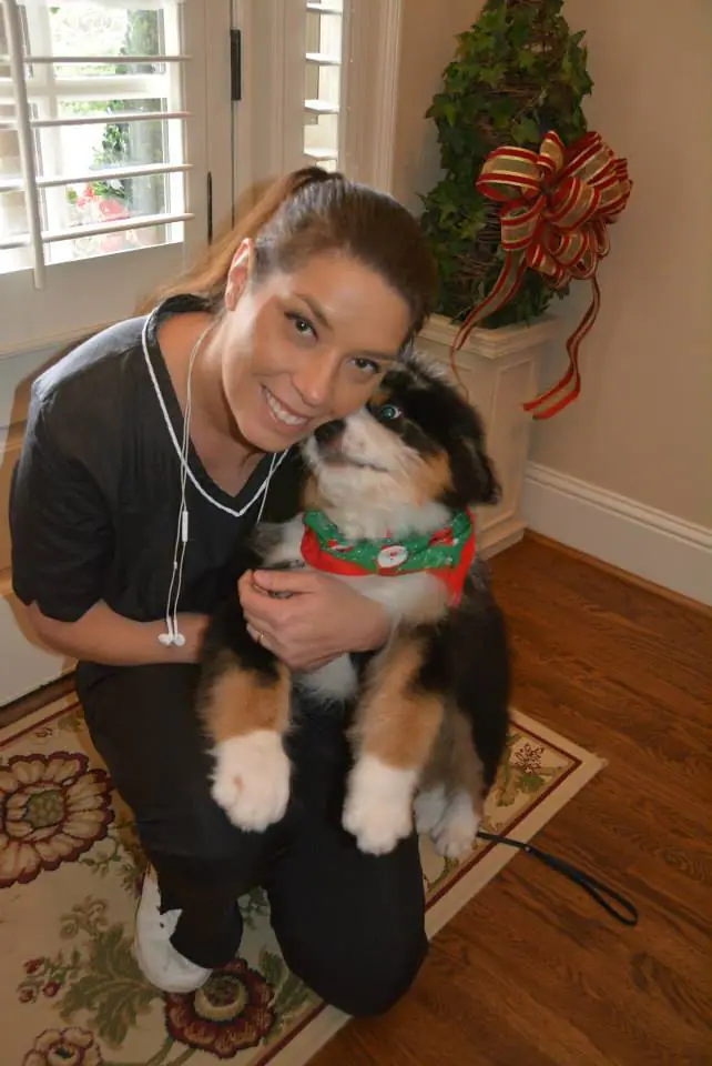 Groomed dog featured by Jolly Paws Mobile Pet Grooming