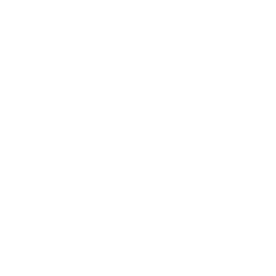 Brush icon from Maryland Mobile Grooming website